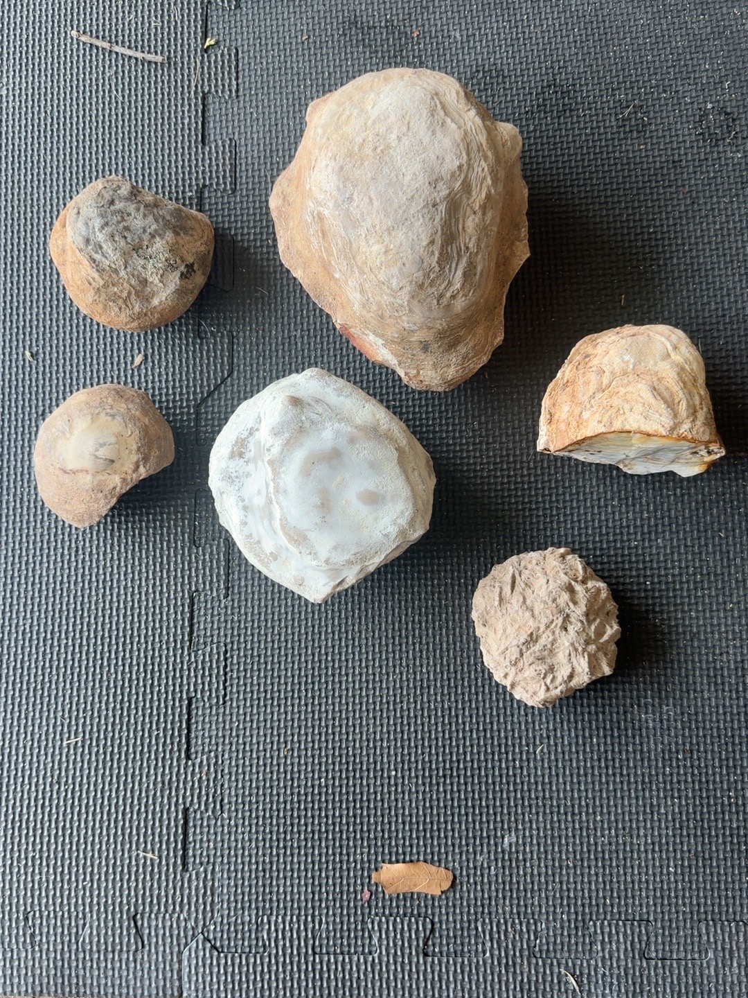 Collection of rounded Missouri creek nodules